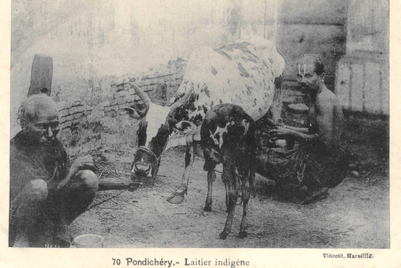 14-06 - Pondichery - laitier